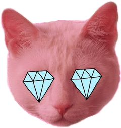 stiker freetoedit freesticker cat dimond